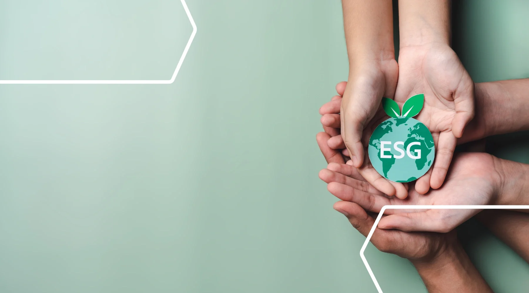 ESG Services